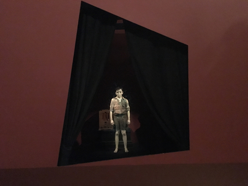 Del Toro Exhibit 12